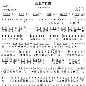 西北等你来_歌曲简谱_词曲:王玮 高世宏