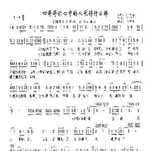 四哥哥你心中人长得什么样_歌曲简谱_词曲:何成结 陈儒天