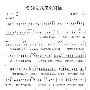 你的泪我怎么能懂_通俗唱法乐谱