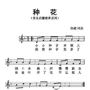 种花_歌曲简谱_词曲:孙超 孙超
