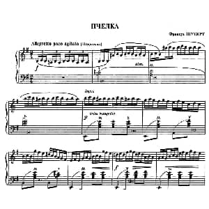手风琴谱 | 蜜蜂 Пчелка 舒伯特