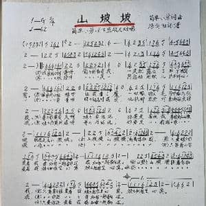 山坡坡_歌谱投稿_词曲:简单小芳 简单小芳