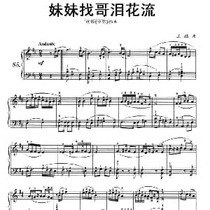 妹妹找哥泪花流 钢琴谱 王酩