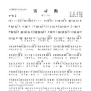 ​雪寻梅_歌曲简谱_词曲:张雪梅 张春雷