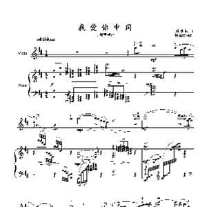 我爱你中国_歌曲简谱_词曲: 郑秋枫曲