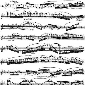 长笛曲谱 | 柯勒30首高级长笛练习曲作品75号 NO.14 Kohler 柯勒