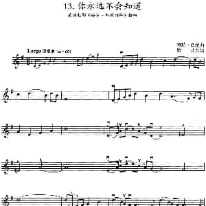 小提琴谱 | 你永远不会知道 美国电影 哈罗 弗利斯科 插曲 海瑞 沃伦曲 雄达改编