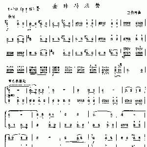 二胡谱 | 金珠玛米赞