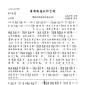 在网络里认识了你_通俗唱法乐谱_词曲:大约冬季 大约冬季