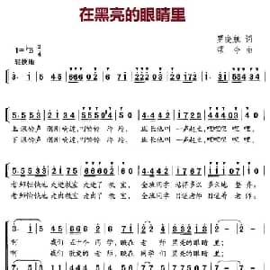 在黑亮的眼睛里_儿歌乐谱_词曲:罗晓航 颂今