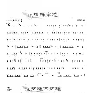 葫芦丝谱 | 葫芦丝曲精选 蝴蝶泉边 知道不知道 王甲坤 王甲华编著