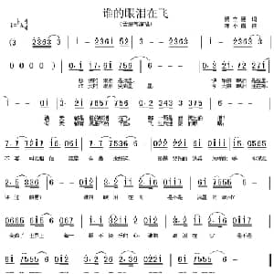 谁的眼泪在飞_通俗唱法乐谱_词曲:杨立德 陈小霞