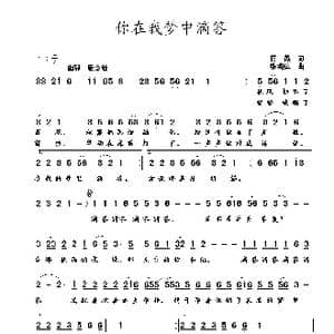 你在我梦中滴答_歌曲简谱_词曲:蒋燕 张纯位