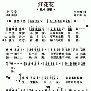 红花花_歌曲简谱_词曲:申均明 李先锋