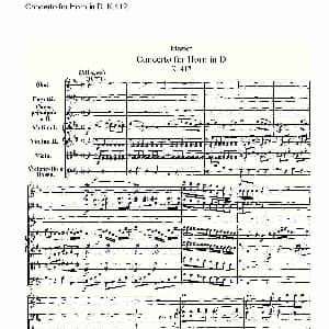Concerto for Horn in D, K.412 D调法国号协奏曲, K.412