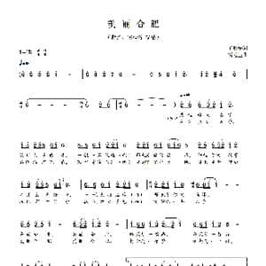 美丽合肥_歌曲简谱_词曲:王长安 雷远生