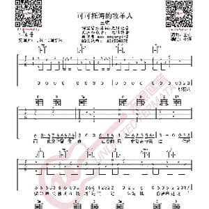 王琪 可可托海的牧羊人 吉他谱_歌曲简谱