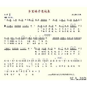 乡里妹子进城来_歌谱投稿