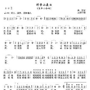 野营小夜曲_民歌简谱_词曲:向荣 王国华