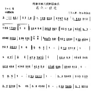 昆仑一枝 维吾尔族舞蹈 中国民族民间舞曲选