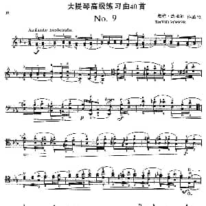 大提琴高级练习曲40首 No.9 戴维 波帕尔