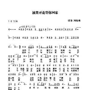 油菜花开等你回家_歌谱投稿_词曲:刘晓勇 刘晓勇