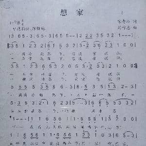 想家_歌曲简谱_词曲:宋青松 刘祚志