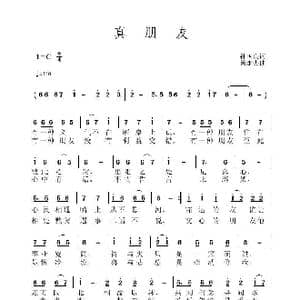 真朋友_歌曲简谱_词曲:孙国良 黄永杰