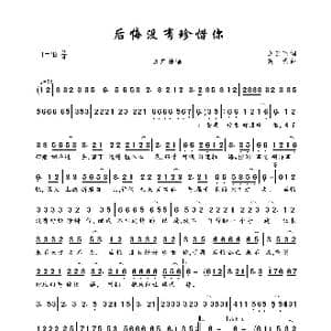 后悔没有珍惜你_歌曲简谱_词曲:余云飞 笑天