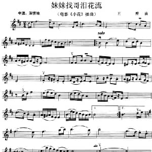 小提琴谱 | 妹妹找哥泪花流 电影 小花 插曲 王酩