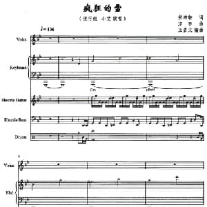 疯狂的雪_通俗唱法乐谱_词曲:贺沛轩 方石