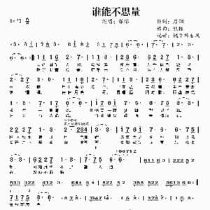 谁能不思量_歌曲简谱_词曲:启翎 银临