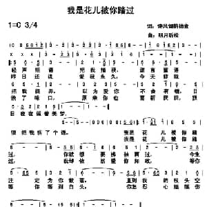 我是花儿被你踏过_通俗唱法乐谱_词曲:杨金 明月听松