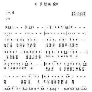 曾经的爱_歌曲简谱_词曲:快乐好歌 快乐好歌