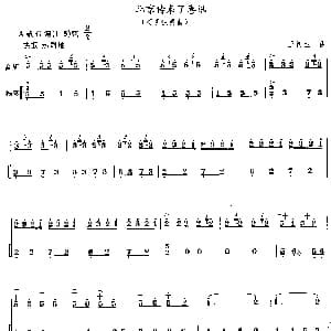 北京传来了喜讯 高胡独奏 扬琴伴奏 王树声