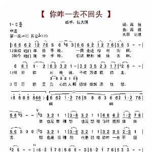 你咋一去不回头_歌曲简谱_词曲:高扬 高扬