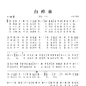 白桦林_通俗唱法乐谱_词曲:朴树 朴树