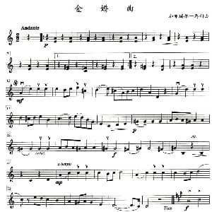 小提琴谱 | 金婚曲 加布瑞尔马利作曲版 四重奏第二小提琴分谱
