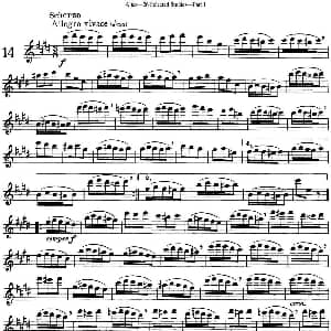 长笛曲谱 | 阿尔泰斯26首精选长笛练习曲 NO.14 Altes 阿尔泰斯