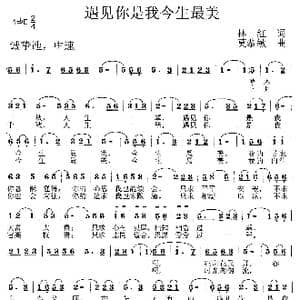 遇见你是我今生最美_歌曲简谱_词曲:林红 莫恭敏