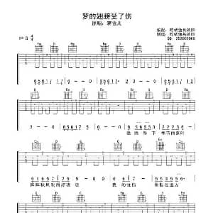 梦的翅膀受了伤 吉他谱 蒋雪儿