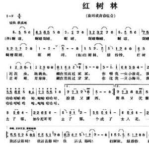 红树林_民歌简谱_词曲:张清蚀 林海