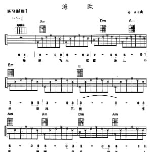 海鸥 吉他谱 孙仪 孙仪
