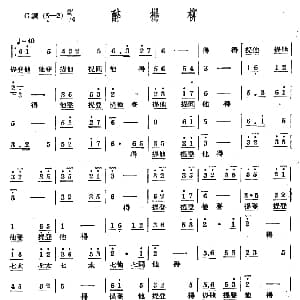 醉杨柳 十番音乐