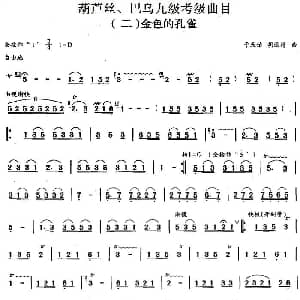 巴乌九级考级曲目 金色的孔雀 于天佑 胡运籍