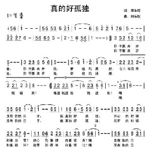 真的好孤独_通俗唱法乐谱_词曲:邓永旺 刘乐权