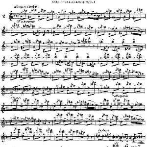 长笛曲谱 | 柯勒30首高级长笛练习曲作品75号 NO.2 Kohler 柯勒