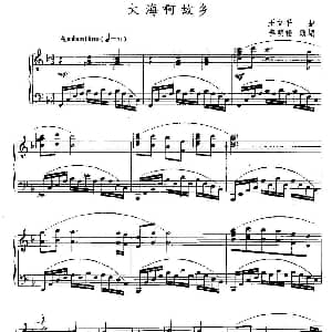 大海啊故乡 钢琴谱 王立平 王立平