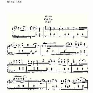 Cotillion D.976 钢琴谱