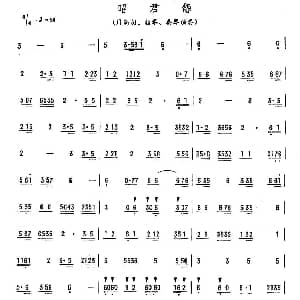 昭君怨 广东乐曲